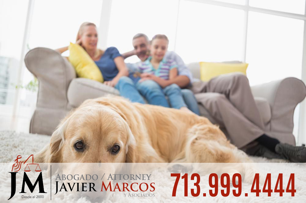 Reclamo mordida de perro | Abogado Javier Marcos 713.999.4444