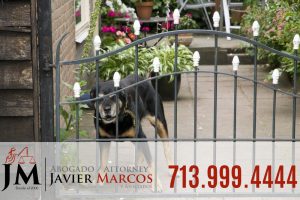 Demanda por mordida de perro | Abogado Javier Marcos 713.999.4444